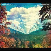 Innerspeaker & Slow Rush (2LP)