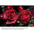 thumbnail image 4 of Fiber HDMI Cable 100ft 4K 60Hz, 4 of 10