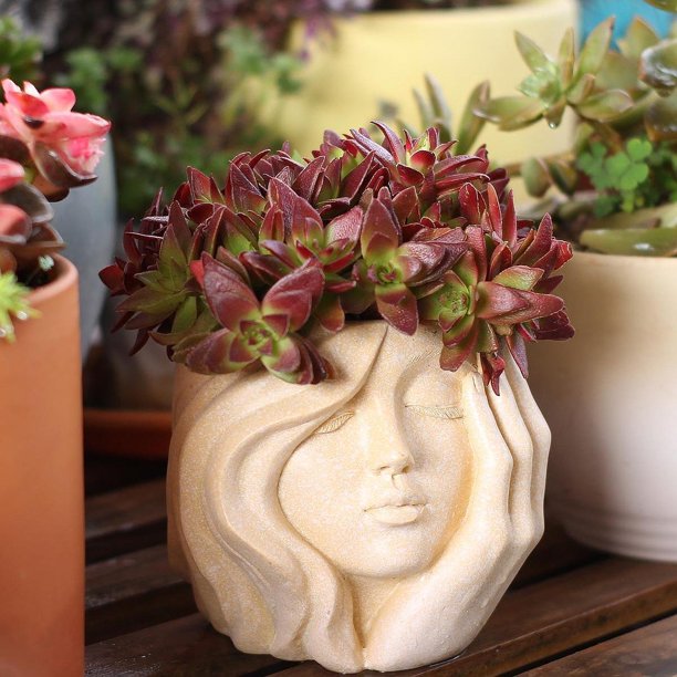 Maceta con forma de rostro, maceta con forma de cabeza, decorativa para el hogar, macetas de resina multiusos para oficina y el jardín.