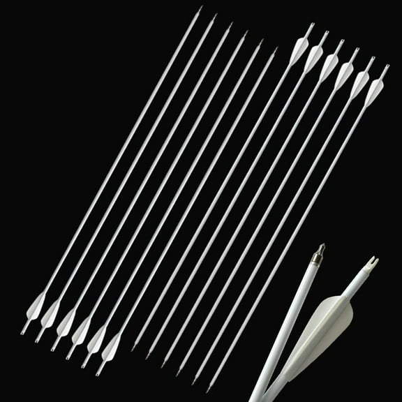 AMEYXGS 12pcs Archery Carbon Arrows Carbon Fiber Target Practice Arrows Removable Tips Hunting Arrows Spine 500 for Recurve and Compound Bow
