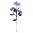 thumbnail image 2 of Soporte de pared para manguera de jardín | Almacenamiento seguro de mangueras | Uso en exteriores | Herramientas de jardinería y riego, 2 of 3