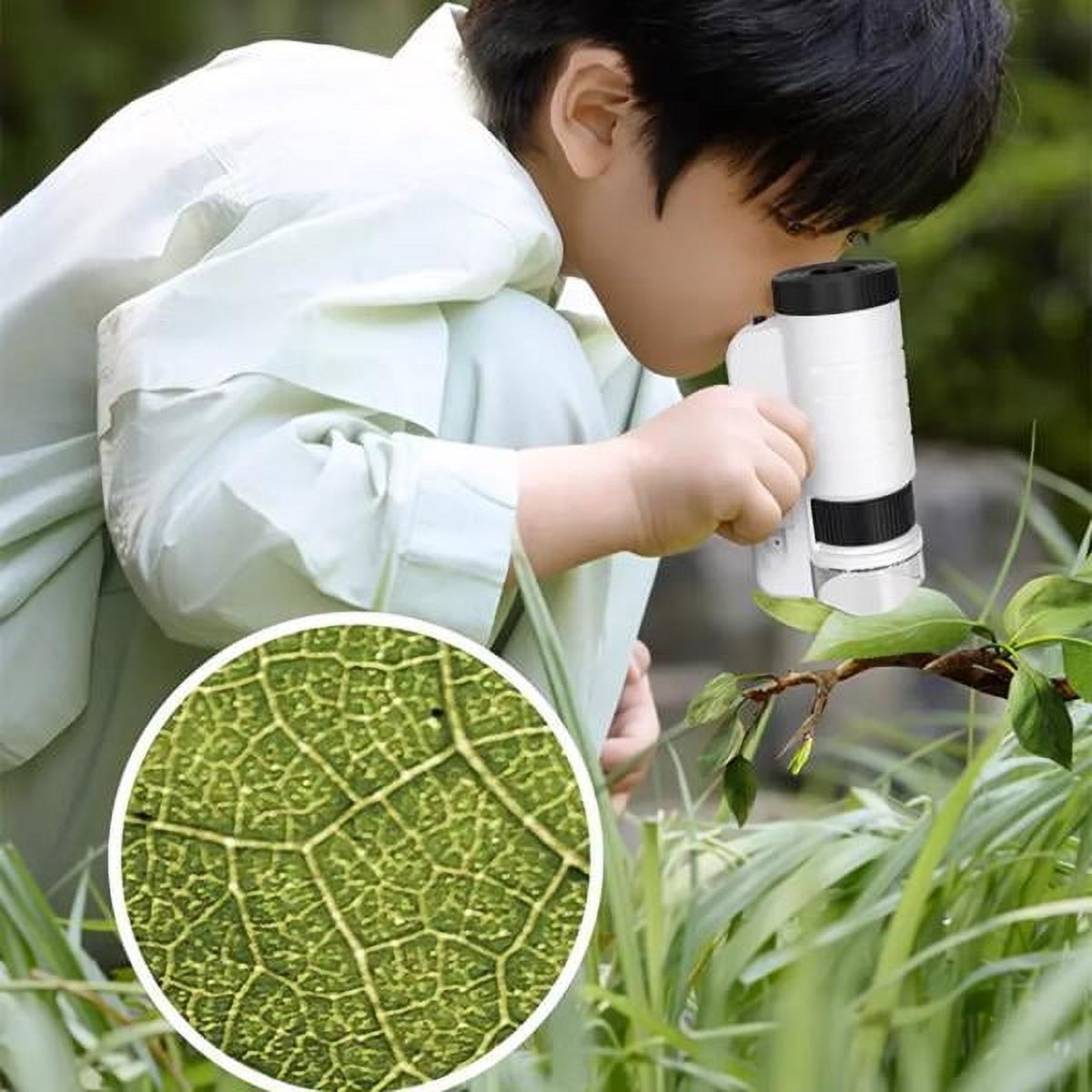 AsterOutdoor Handheld Children's Optical Microscope photo 3