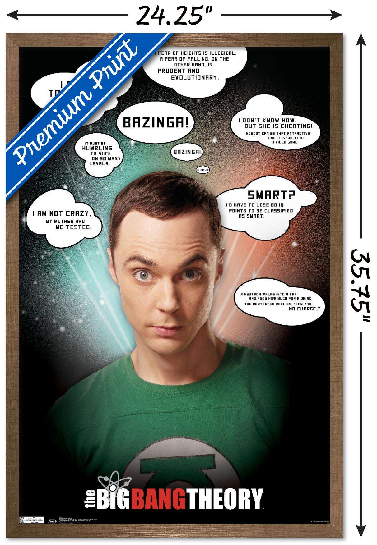 The Big Bang Theory - Quotes Wall Poster, 22.375" x 34", Framed