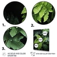 thumbnail image 3 of Designart "Ferns Plant Monochrome Euphony III" Floral & Botanical Canvas Wall Art, 3 of 5