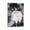 Frame-style, variant on Yumihiko Amano Japan Poster Artist Painting Gifts Canvas Painting Poster Wall Art Decorative Picture Prints Modern Decor 12x18inch(30x45cm)