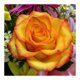 thumbnail image 1 of Cuadros Decorativos 5D DIY Diamond Painting Kits Full Round Drill Yellow Rose Mosaic Picture Crafts Likrtyny embutido en tela, 1 of 9