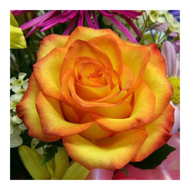 Cuadros Decorativos 5D DIY Diamond Painting Kits Full Round Drill Yellow Rose Mosaic Picture Crafts Likrtyny embutido en tela