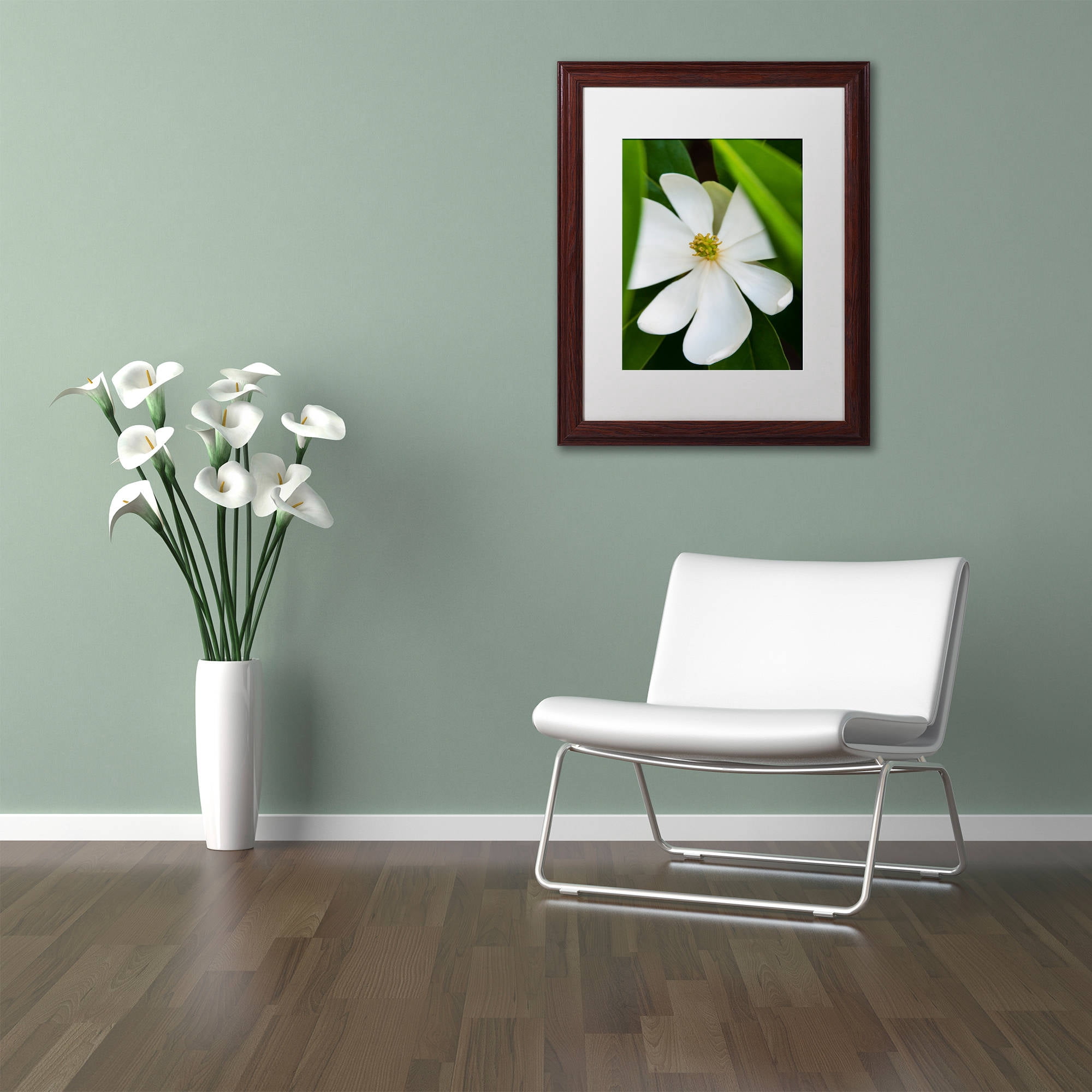 Trademark Fine Art "White Magnolia Flower" Canvas Art by Kurt Shaffer, White Matte, Wood Frame