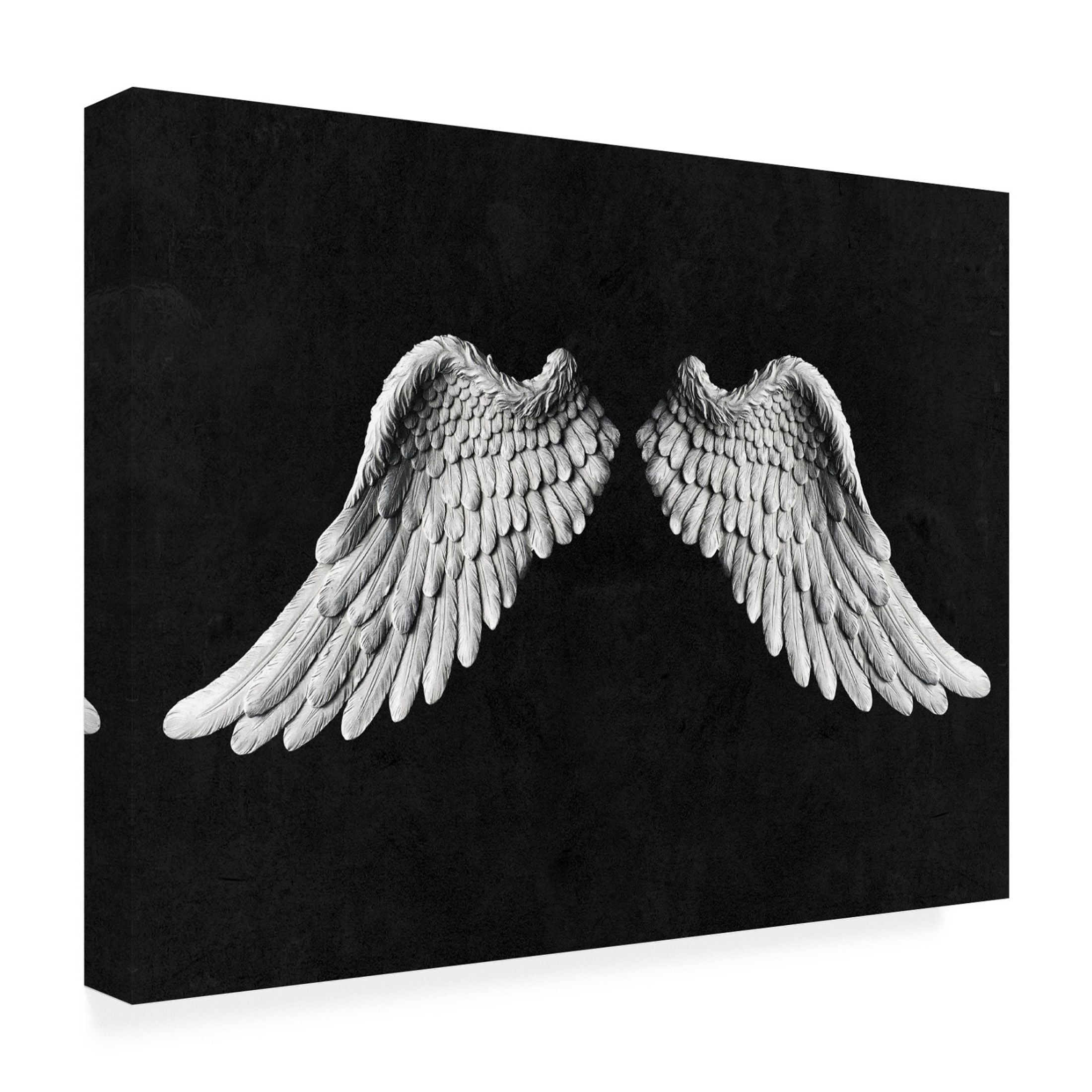 Canvas Wall Art - Tom Quartermaine 'Black and White Angel Wings on Black' Wall Art for Living Room, Bedroom, or Office Décor by Trademark Fine Art - 47 x 35 Inches