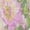 Color, variant on New summer fashion and elegant irregular print dress