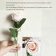 thumbnail image 5 of Billuyoard Ramo de rosas falsas Prop Interesante Festival de bodas Decoraciones de bricolaje para interiores Decoración de flores de simulación romántica Kits de decoración para fiestas champán Billuyoard HA080058-08, 5 of 6