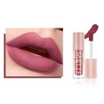 thumbnail image 2 of WREESH 12 Color Non-stick Cup Velvet Matte Texture Lip Glaze Lipstick Lip Gloss, 2 of 2