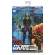 thumbnail image 1 of Misiones Especiales GI Joe Classified Gao Jinjia Cobra Island Wayne Beach Head, 1 of 2
