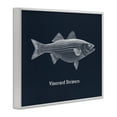 thumbnail image 3 of Stupell Industries Vineyard Stripers Fish Animals Painting White Framed Art Print Wall Art, 30 x 24, 3 of 8