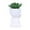 A, variant on Succulent Potted Modern Style Ceramic Flowerpot Miniature Flowerpot Can Be Used As A Home Gardening and Desk Decoration, Indoor/Outdoor Planters & Container Accessories