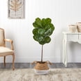 thumbnail image 3 of Nearly Natural 4' Fiddle Leaf Artificial Trees in Planter, 3 of 4