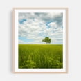 thumbnail image 2 of Lonely Tree 02 - Newburgh New York Photography Unframed Wall Art Print 30 x 40 inches, 2 of 13