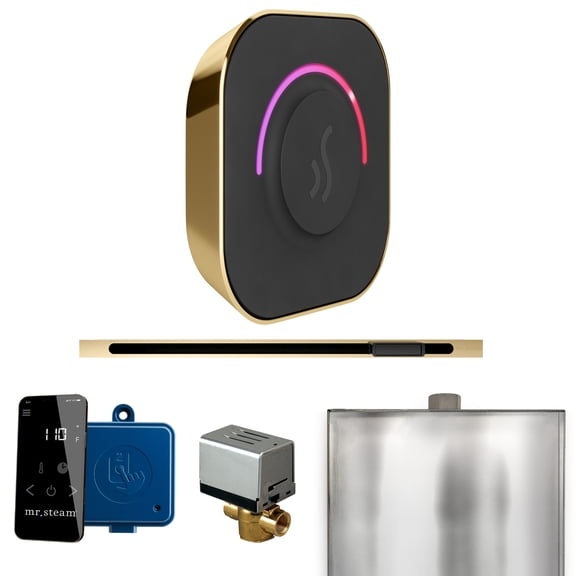 Mr Steam ButlerTouch Steam Shower Pkg w/TempoTouch Control and Linear Steamhead in Polished Brass