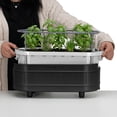 thumbnail image 3 of Permasteel - Self-Watering Planter Box with Mounting Brackets - Black, 3 of 9