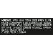 (2 pack) Axe Apollo Refreshing Long Lasting Mens Body Wash, Sage and Cedarwood, 16 fl oz