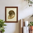 thumbnail image 6 of Sealife Collection V - Framed Print w/glass - Chestnut, 6 of 7