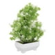 thumbnail image 2 of KAKOWELY Planta artificial en maceta, adorno de planta falsa en maceta, simulación de bonsái, decoración, planta artificial en maceta, 2 of 4