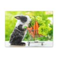 thumbnail image 1 of Funny Rabbit Silly Rabbit Outside Wall Art Ready to Hang Unframed, 1 of 7