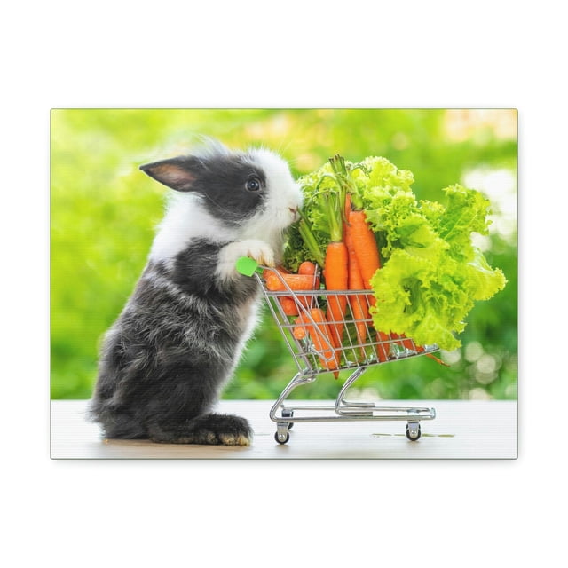 Funny Rabbit Silly Rabbit Outside Wall Art Ready to Hang Unframed