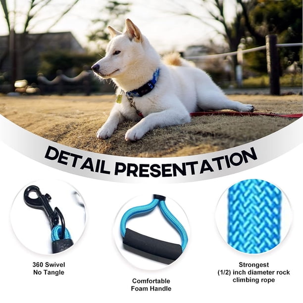 Collar De Perro Ajustable Y Correa Retráctil Para Perros Gra | Envío Gratis