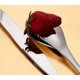 thumbnail image 4 of Juego de cubiertos de plata pulida con espejo de 4 piezas, cuchillo de cena de acero inoxidable, tenedor, tenedor para ensalada, cuchara de postre, juegos de utensilios negros TUNC Sencillez, 4 of 5