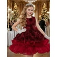 thumbnail image 2 of AWZXDE Girls Dresses Evening Gown High End Rose Sequined Puffy Dress Christmas Dresses For Girls Birthday Party 6-13 Years Red,6-7 Years, 2 of 9