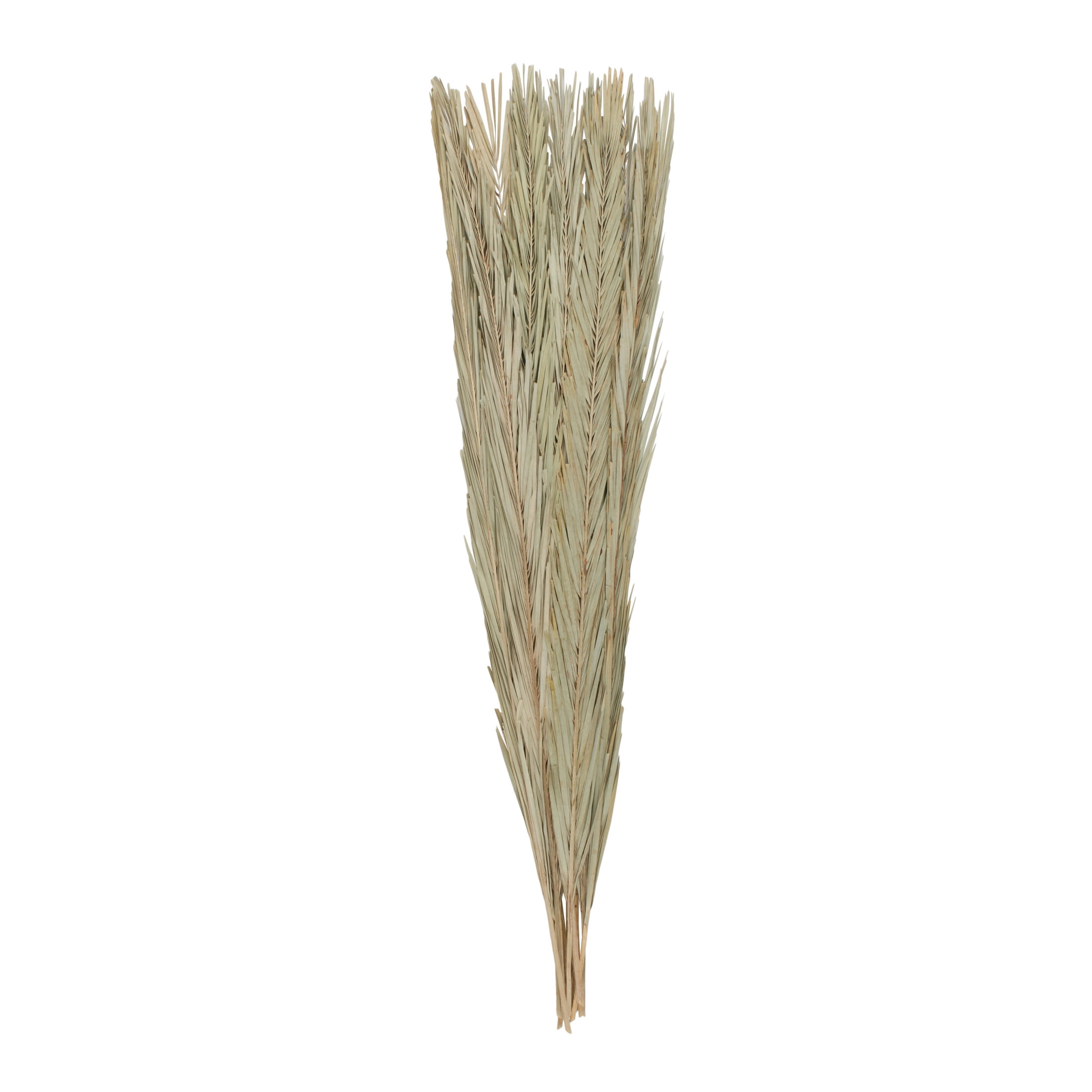 61" Tall Palm Leaf Natural Foliage Bouquet with Grass, by DecMode