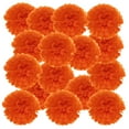 thumbnail image 1 of Uxcell Pom Poms de Papel Flores Bola de Papel para Decoración de Fondo de Fiesta Rojo Naranja 4", 1 of 7