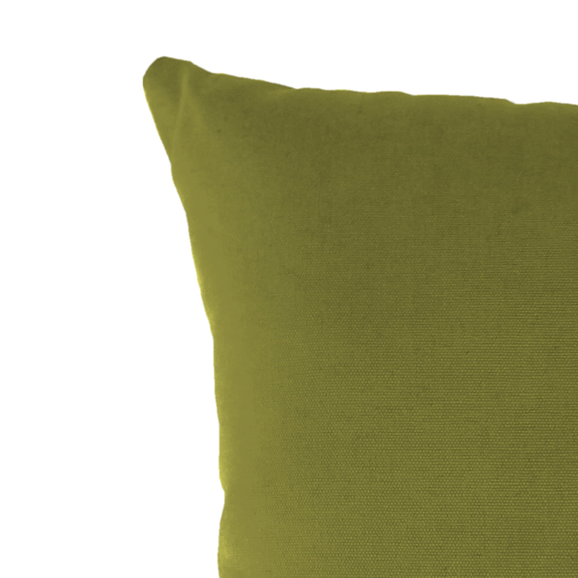 18" Solid Veranda Kiwi Outdoor Throw Pillow
