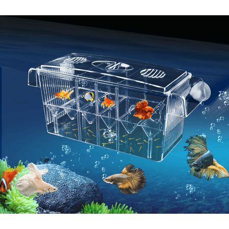 Double Breeder - Moaere 11' Aquarium Breeding Hatchery Incubator Isolation Box Tank for Fish Breeder