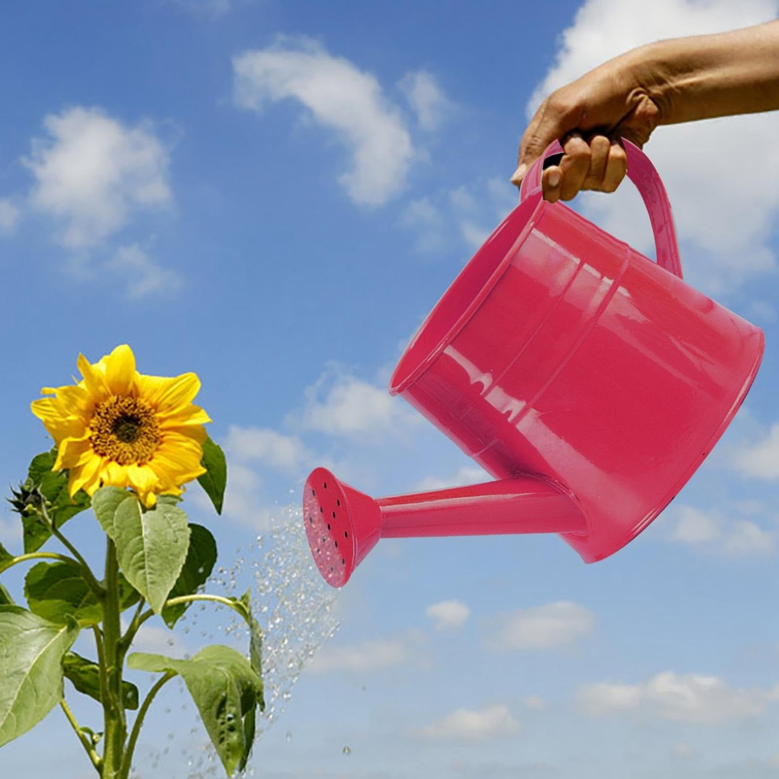 White Watering Can, 1l Metal Garden Watering Can, Vintage Sprinkling Can for Flowers, Indoor & Outdoor Plants, Lawn & Garden Irrigation Tool