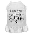 thumbnail image 4 of Mirage Pet I Am What My Family is Thankful For Screen Print Dog Dress Baby Blue Lg, 4 of 10