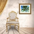 thumbnail image 3 of Brey 24x20 Gold Ornate Wood Framed with Double Matting Museum Art Print Titled - Island Palm II, 3 of 4