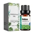 thumbnail image 2 of Aceite, mejora la salud cerebral, fortalece la concentración, mejora la memoria y mejora el estado de ánimo, 10 ml Una solución, 2 of 9