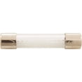 thumbnail image 3 of Fuse, 6A, AutoPilot Chlorinator, 3 of 3