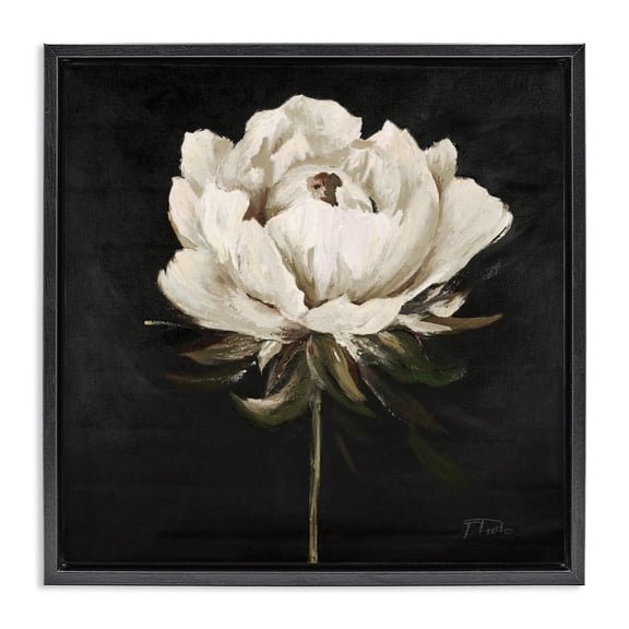 Stupell Industries Eclectic Pretty Delicate Bloom on Black Black Floating Frame Canvas Art, 18 x 18, by Patricia Pinto