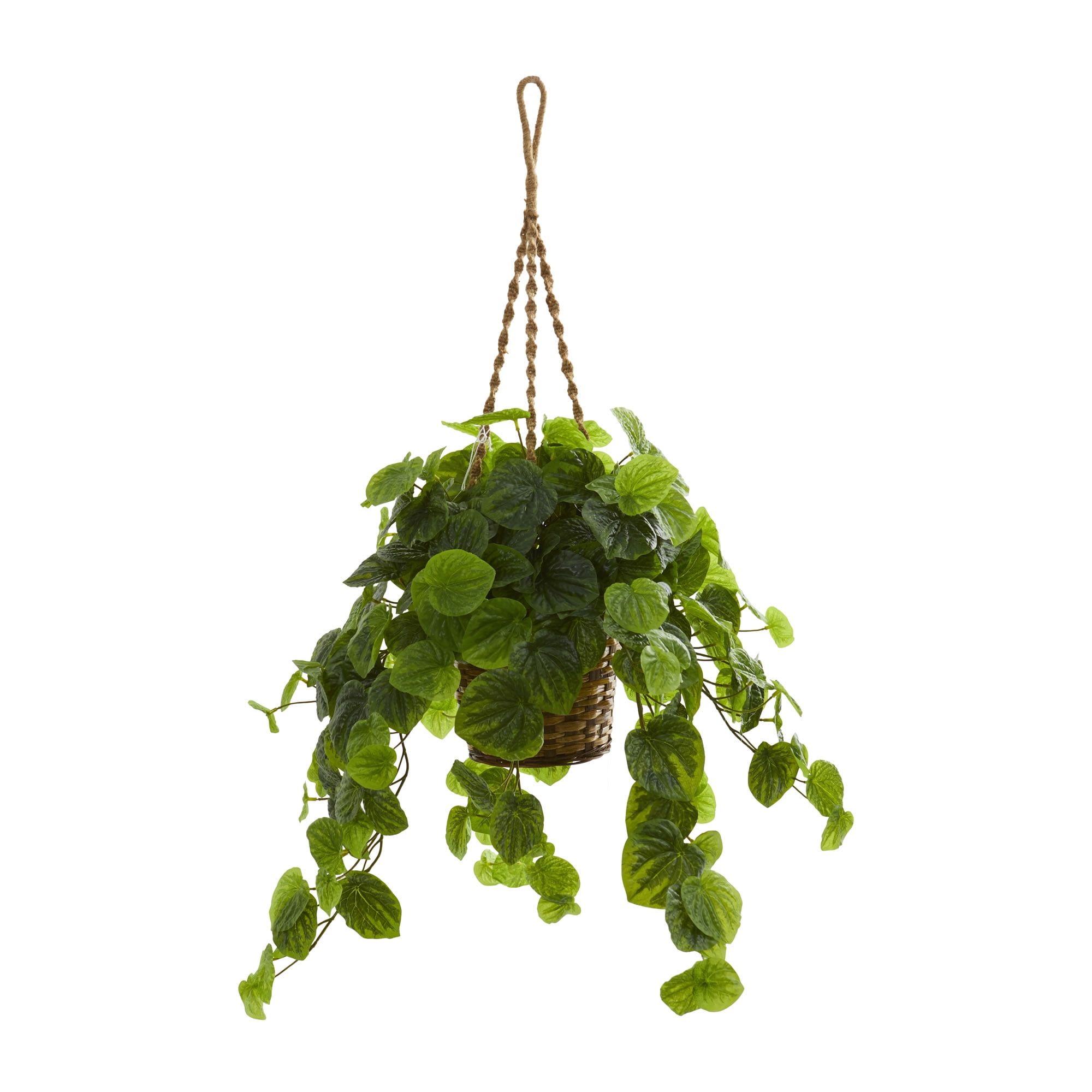 Nearly Natural 34in. Peperomia Artificial Plant in Hanging Basket (Real
