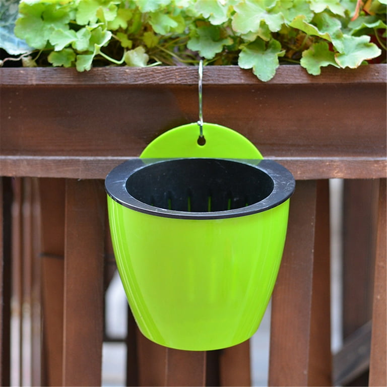 10 inch indoor planter ZZ Plant