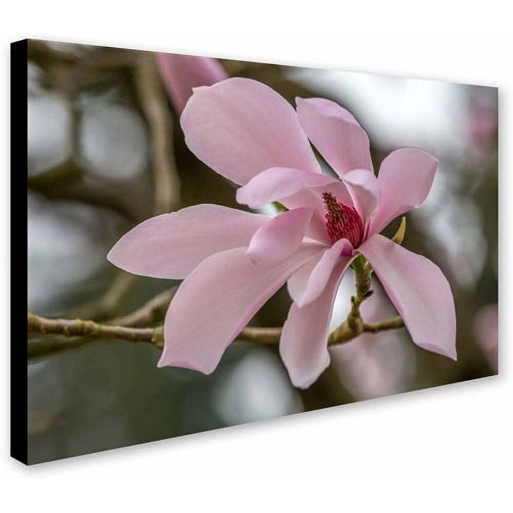 Trademark Fine Art "Magnolia" Canvas Art by Pierre Leclerc