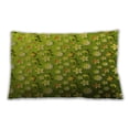 thumbnail image 1 of Ahgly Company Outdoor Rectangular Contemporary Lumbar Throw Pillow, 13 inch by 19 inch, 1 of 5