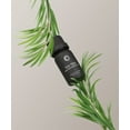 thumbnail image 2 of Bursera Organic Tea Tree Essential Oil, 2 of 5