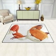 thumbnail image 3 of Coolnut Lightweight Soft Area Rugs 60 x 39 inch (5'x 3'3"), Cute Watercolor Fox Floor Mat for Kids Playing Room Hardwood Floor Living Room Nursery Rugs, 3 of 6