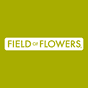 Field of Flowers profile photo