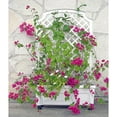 Exaco Trading Company m256758 – Deposito 2 in 1 Mocca Planter 300 L
