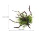 thumbnail image 4 of unbranded Accesorios Para De Peces Con De Planta Resinada Resistente Multicolor, 4 of 5